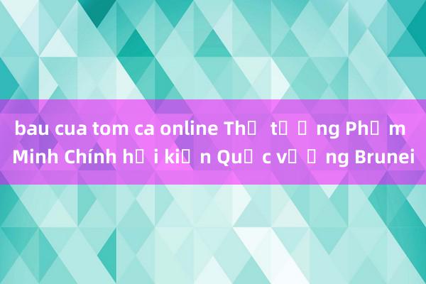 bau cua tom ca online Thủ tướng Phạm Minh Chính hội kiến Quốc vương Brunei